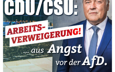 CDU: Angst vor AfD!