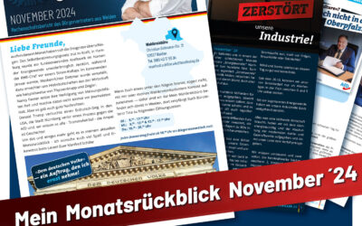 Monatsrückblick November ´24