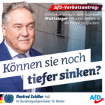 AfD-Verbotsantrag: Können sie noch tiefer sinken?