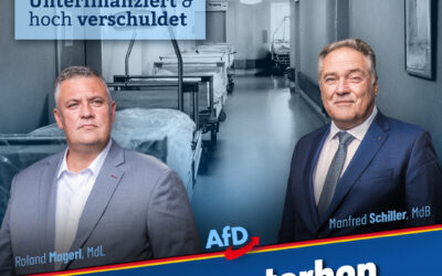 Krankenhaussterben
