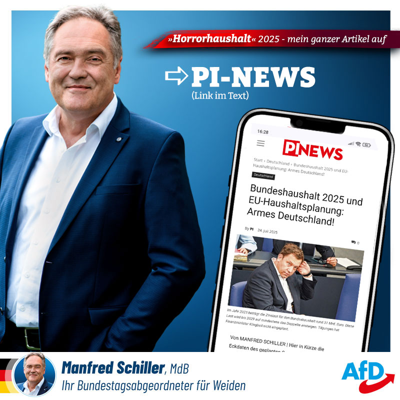 Horrorhaushalt 2025 - mein Artikel bei PI News