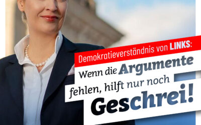 Umgang mit Alice Weidel