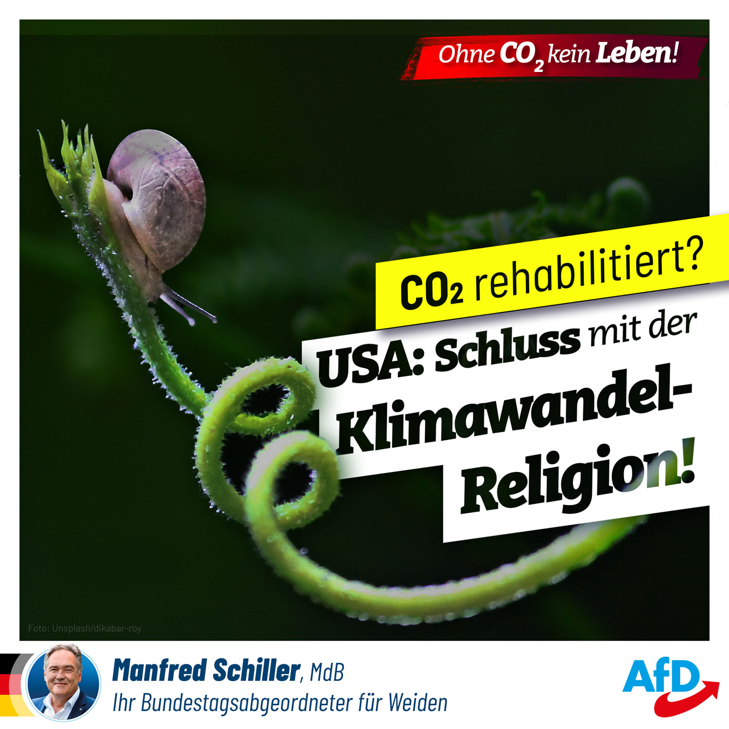 CO2 rehabilitiert?