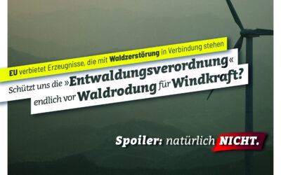 Entwaldungsverordnung der EU