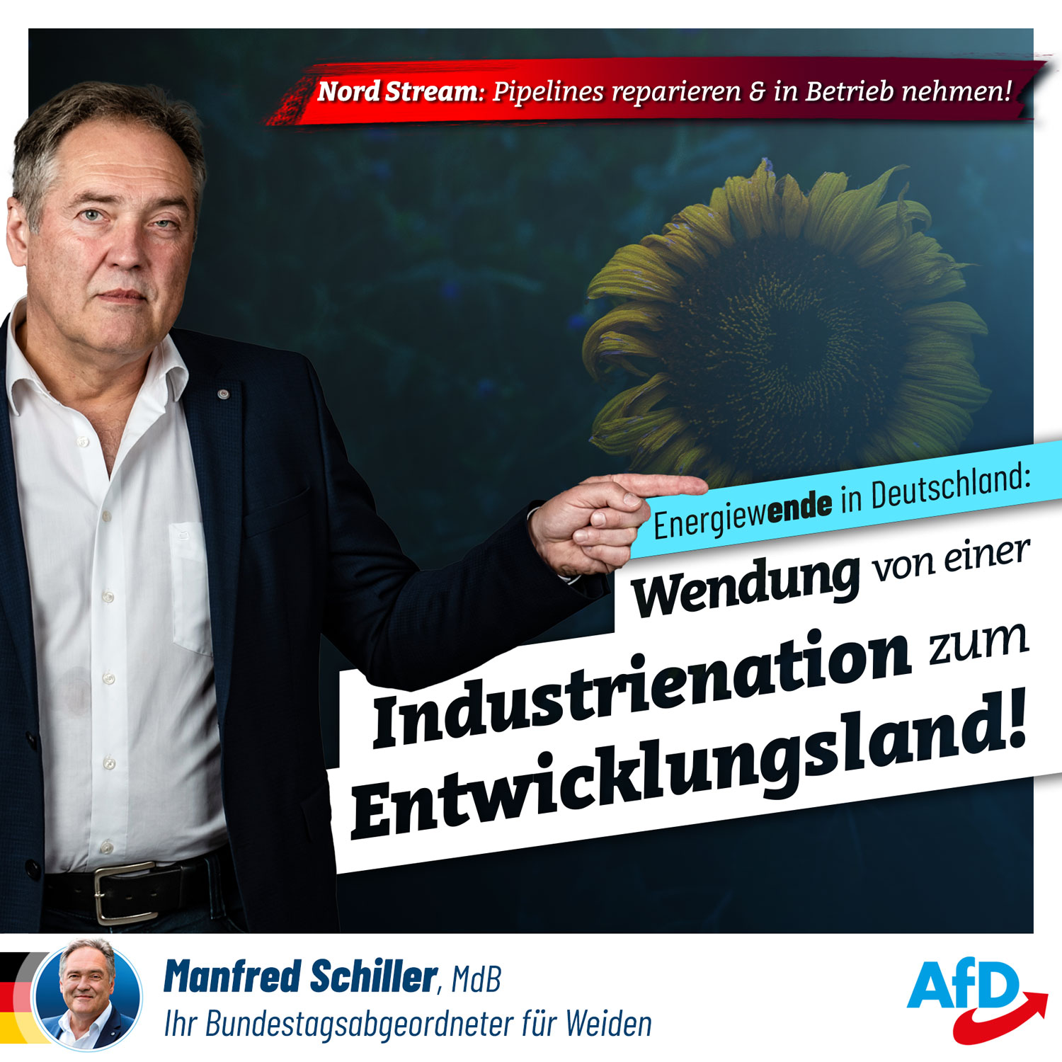 Energiewende - von der Industrienation zum Entwicklungsland!