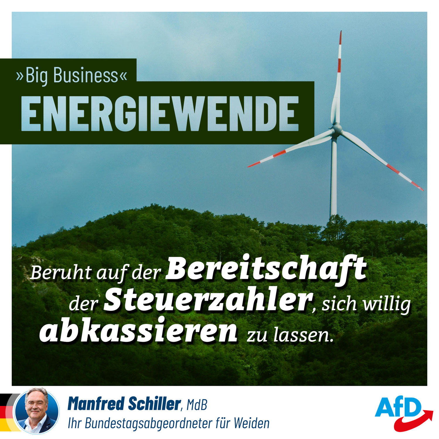 Big business Energiewende