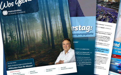 Wos Gscheits KW 45/25