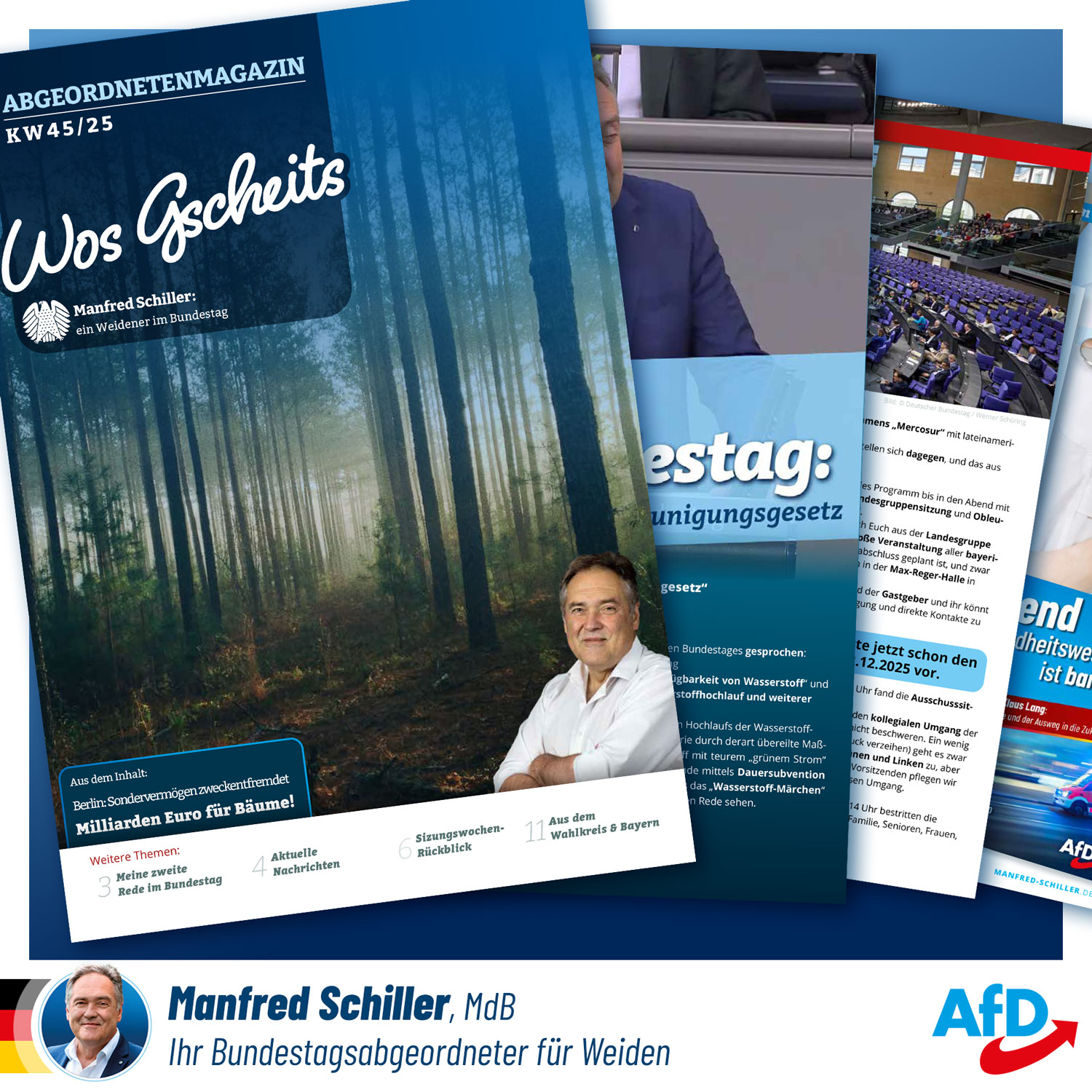 Wos Gscheits Abgeordnetenmagazin KW 45/25