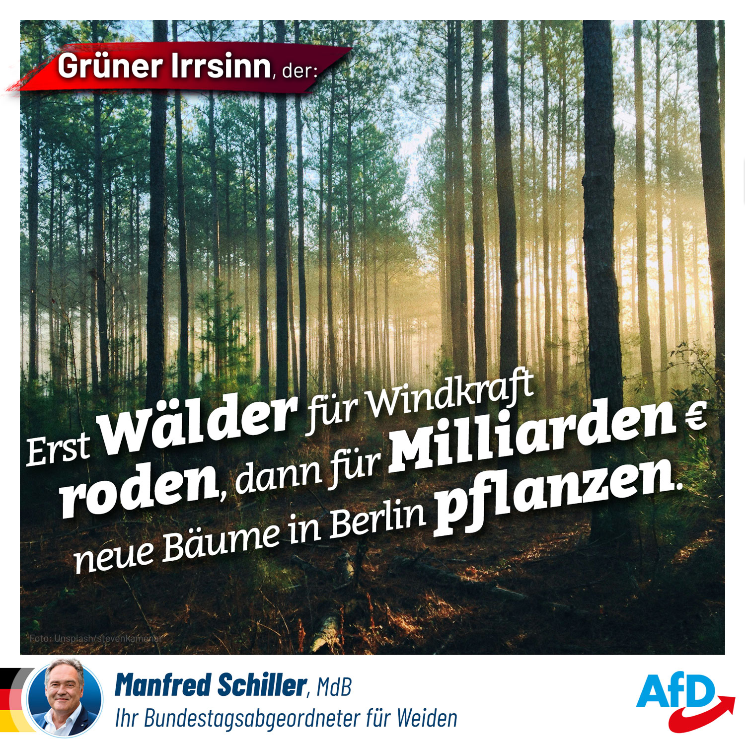Erst Wälder für Windräder roden, dann für Milliarden Euro Bäume pflanzen Erst Wälder für Windräder roden, dann für Milliarden Euro Bäume pflanzen