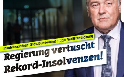 Regierung vertuscht Rekord-Insolvenzen!