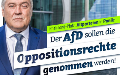 Rheinland-Pfalz: Altparteiein in Panik