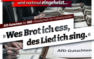 NGO veröffentlicht neues AfD-Gutachten