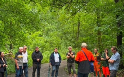 Weiden: Waldbegehung mit dem Stadtrat