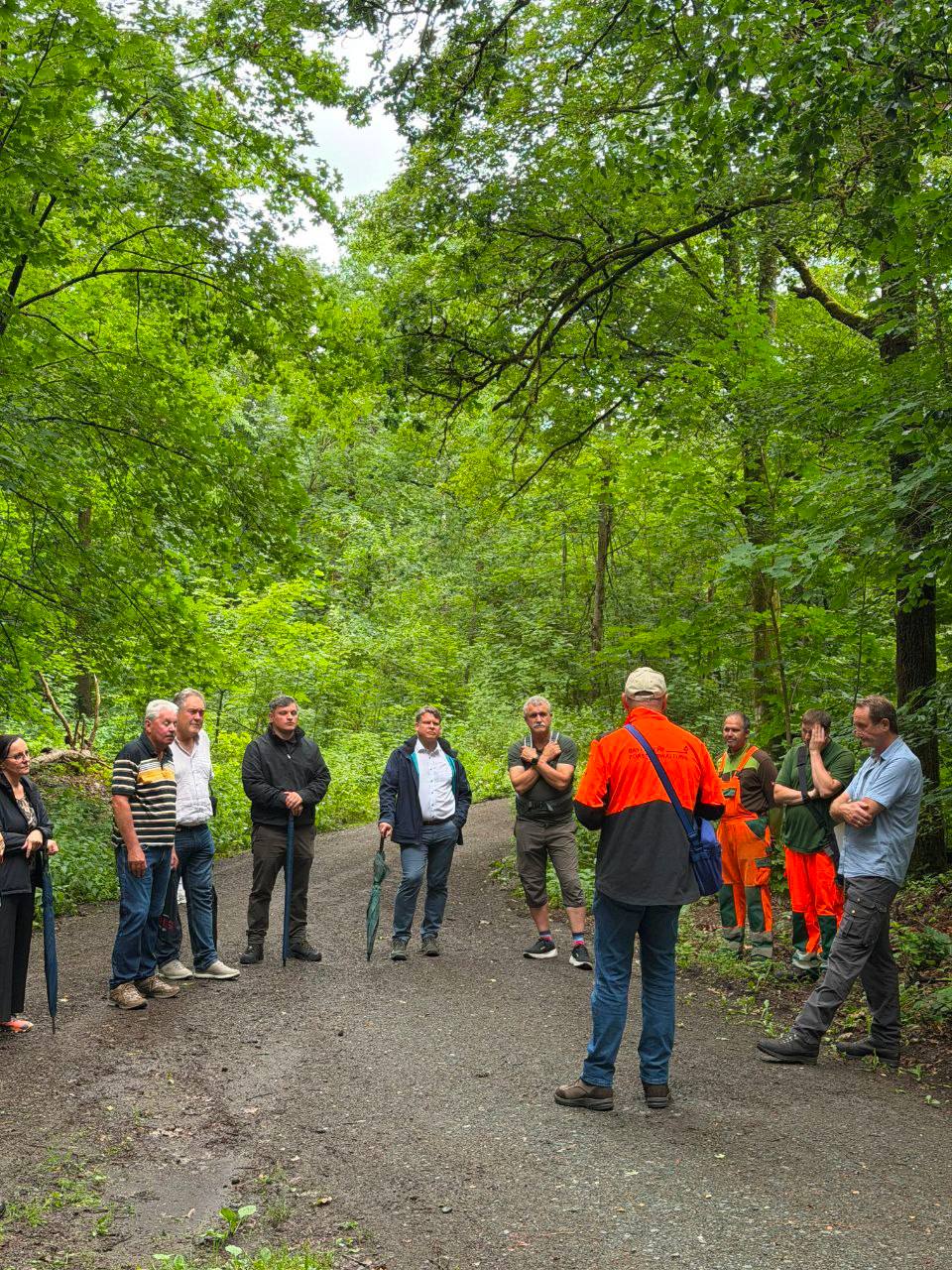 Waldbegehung mit dem Stadtrat Weiden