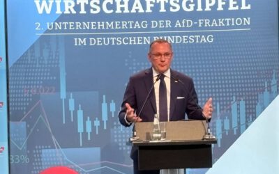 Wirtschaftsgipfel der AfD-Bundestagsfraktion