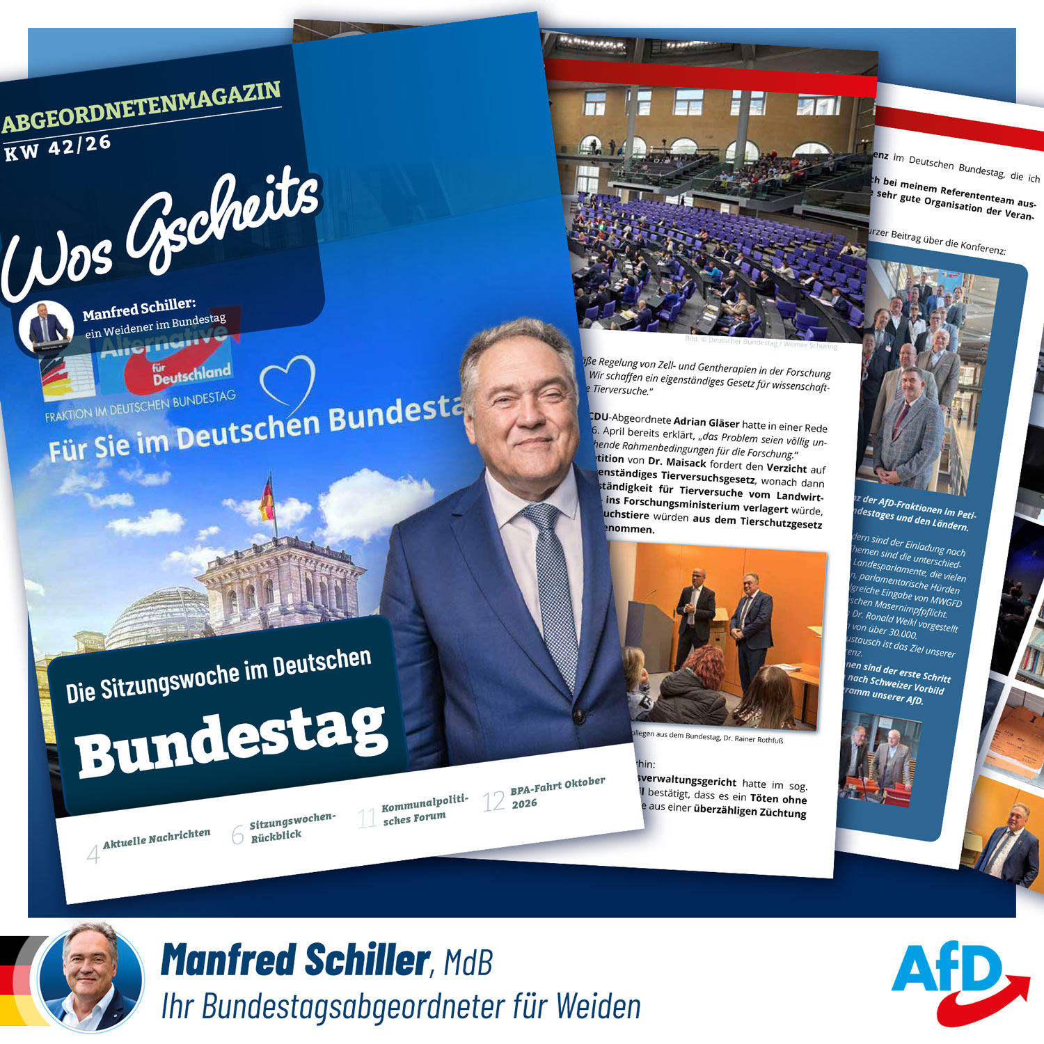 Wos Gscheits KW 42/26 Wos Gscheits KW 42/26